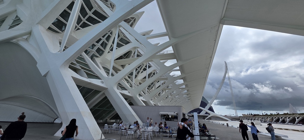 palau 20260507 115721